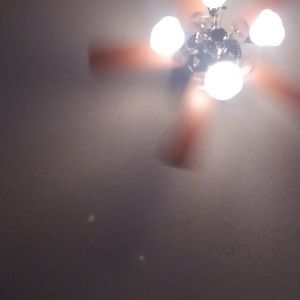 Meet your Posher, Henry